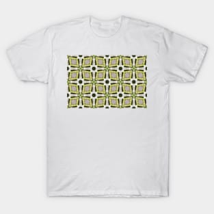 Basilica Kaleidoscope 17 T-Shirt